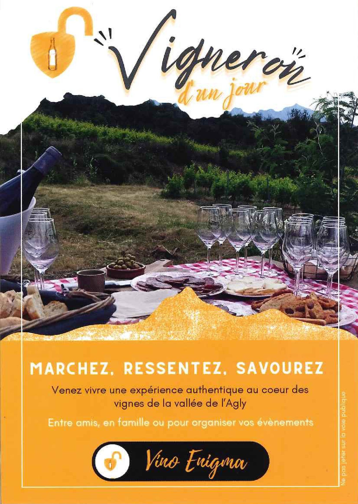 VIGNERON D'UN JOUR - VINO ENIGMA