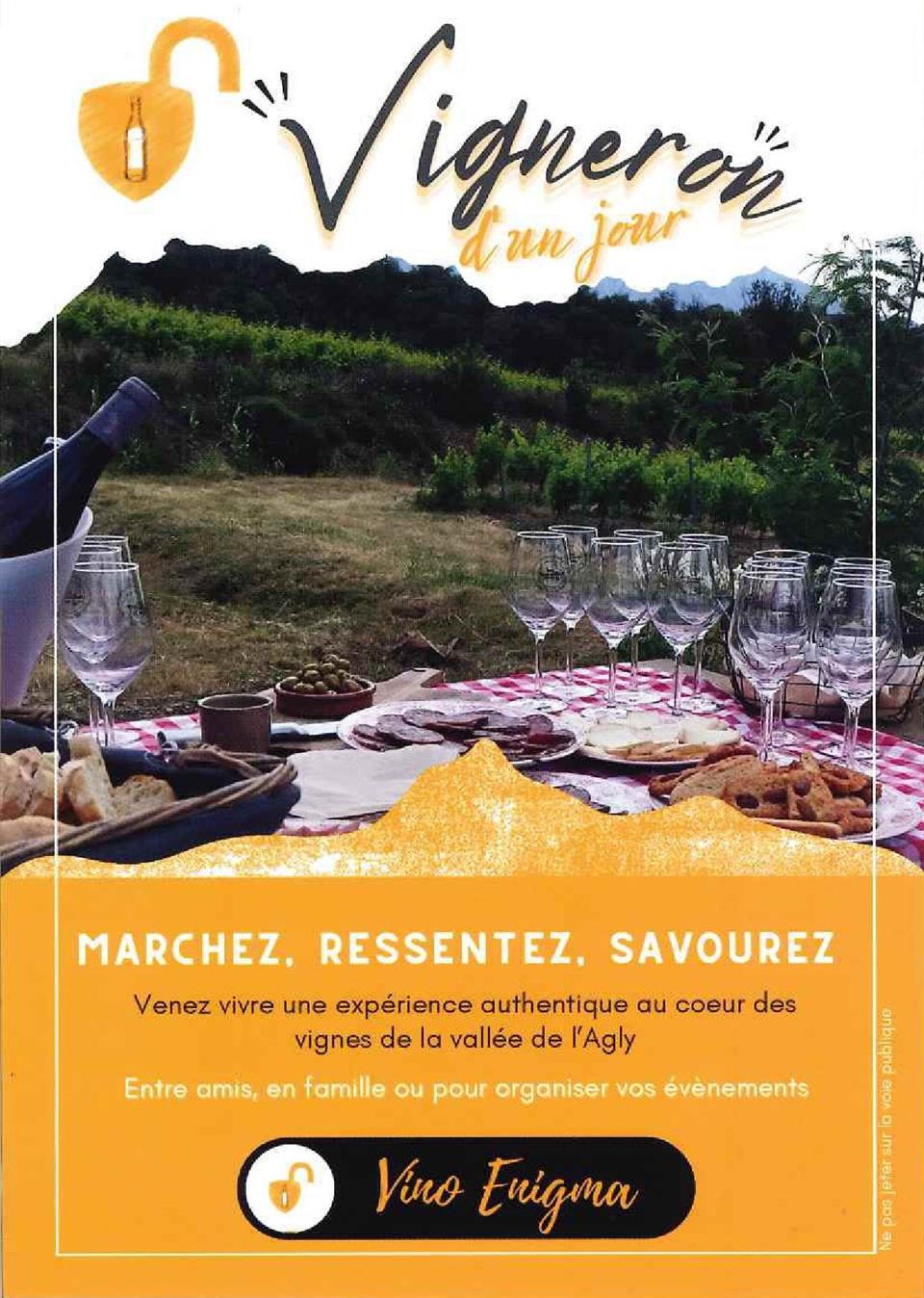 Vigneron d’un jour - vino enigma