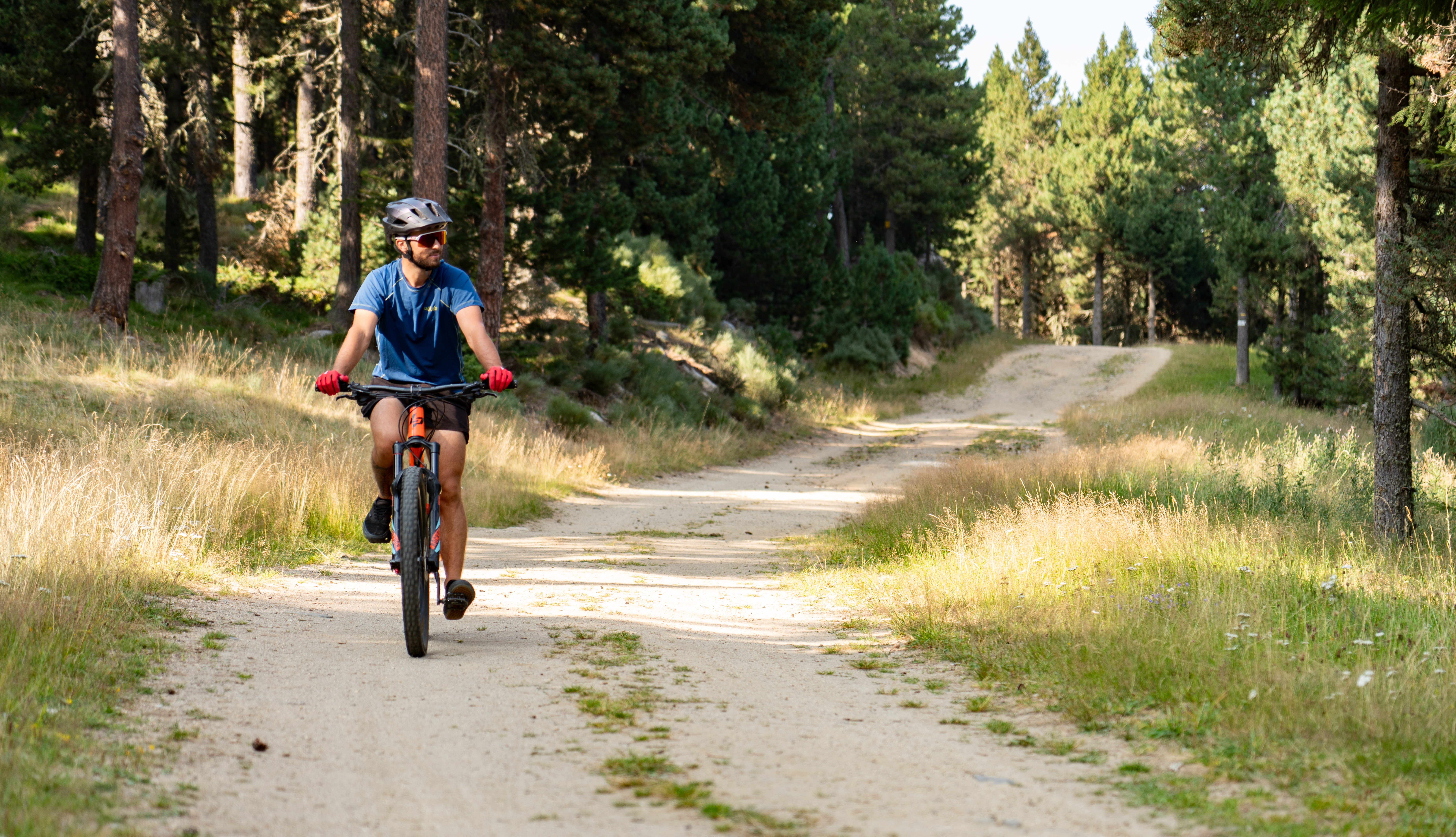 LES CRÊTES DU PLA DEL BOUC ( VTT 40 )