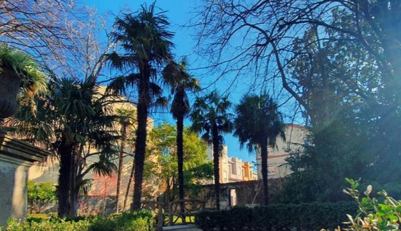 Villa des tilleuls Jardin Puig 3