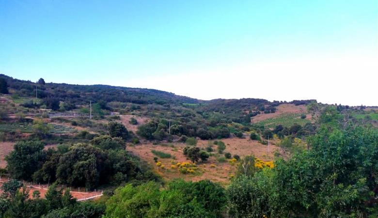 Vue-cargol-21-belesta-web