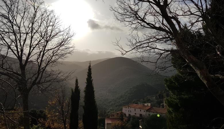 Vue depuis la terrasse