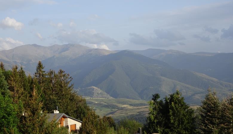 Vue1