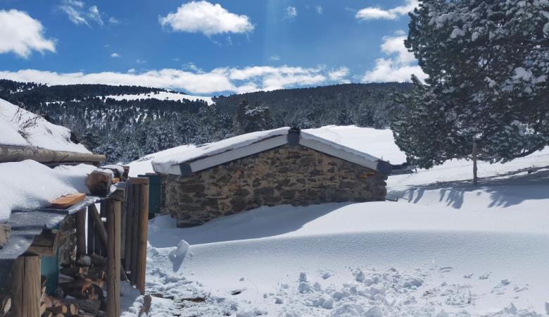 WhatsApp Image 2025-09-29 at 17.30.19(1)