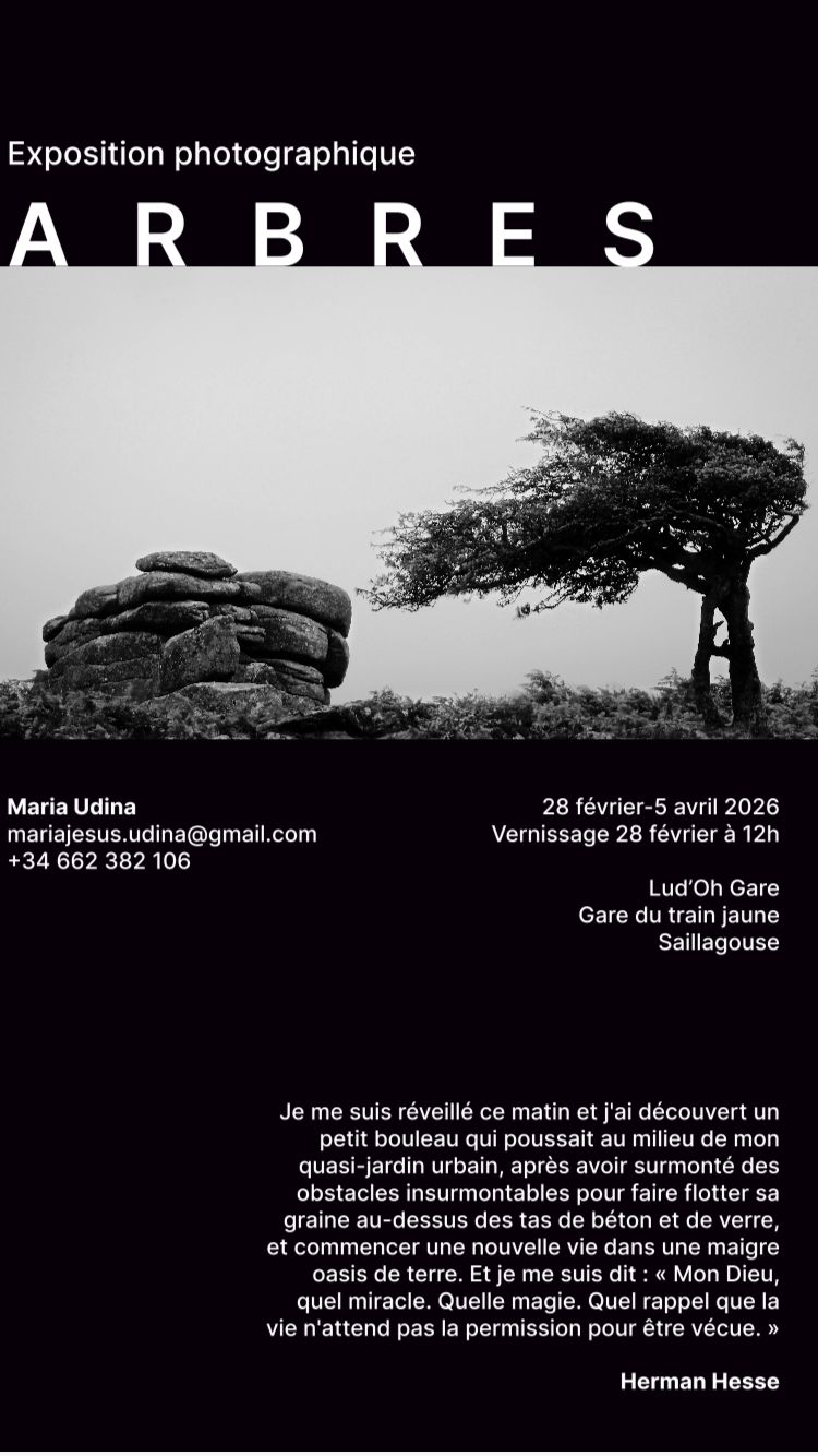 EXPOSITION PHOTOGRAPHIQUE: «ARBRES «- MARIA UDINA