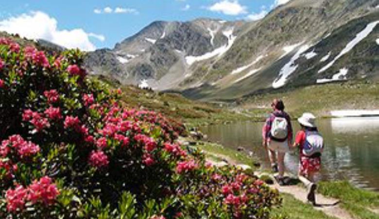 Montagne et Transport 