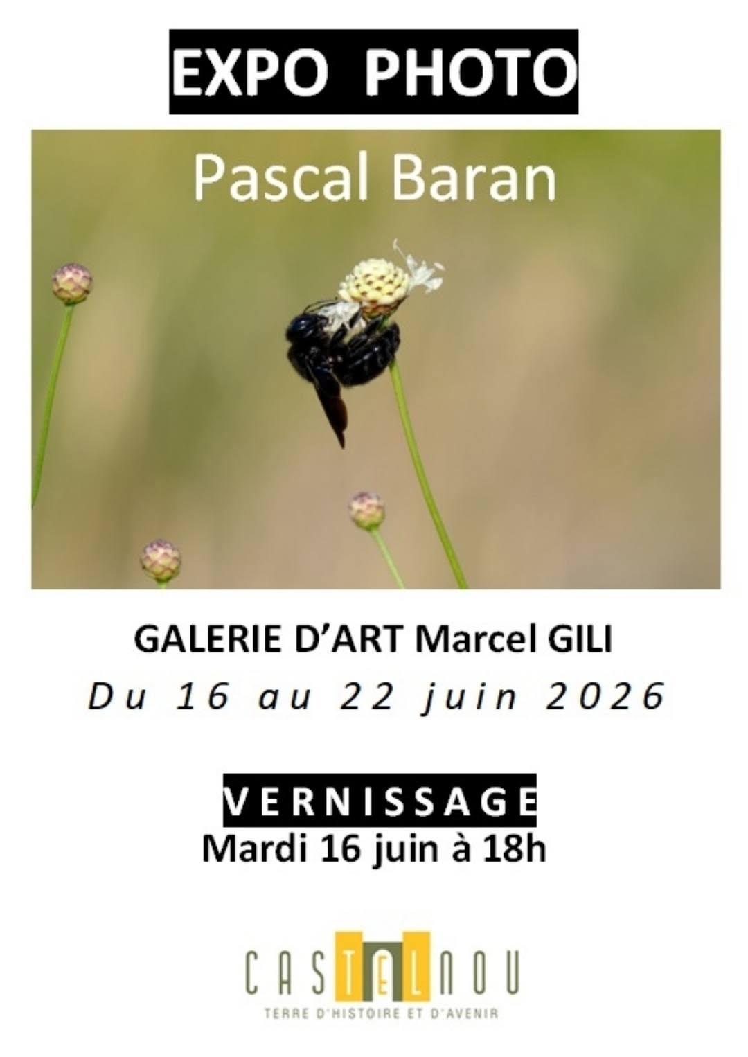 Exposition de photos par pascal baran