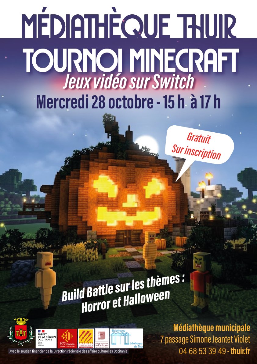 Tournoi minecraft