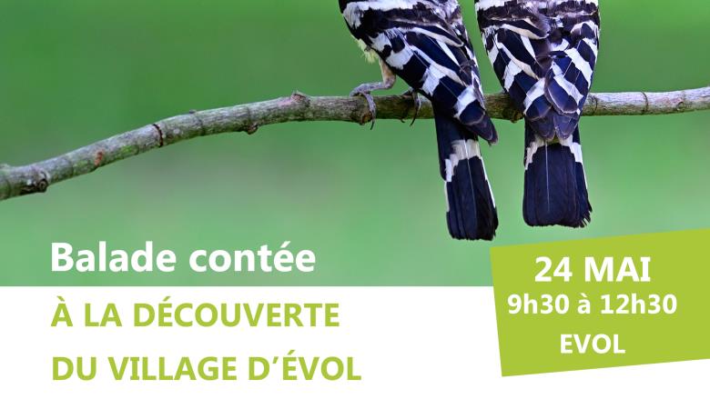Balade contée Evol