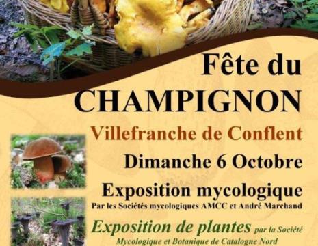 FÊTE DU CHAMPIGNON 2024 Le 6 oct 2024