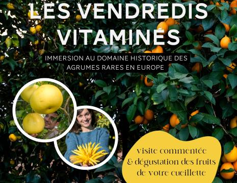 VENDREDIS VITAMINÉS Du 1/10/2024 au 31/3/2025