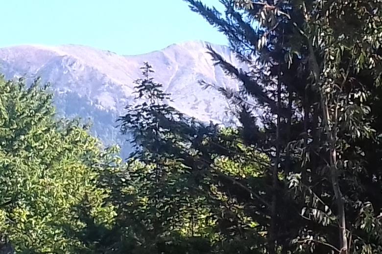 Au Beau Soleil