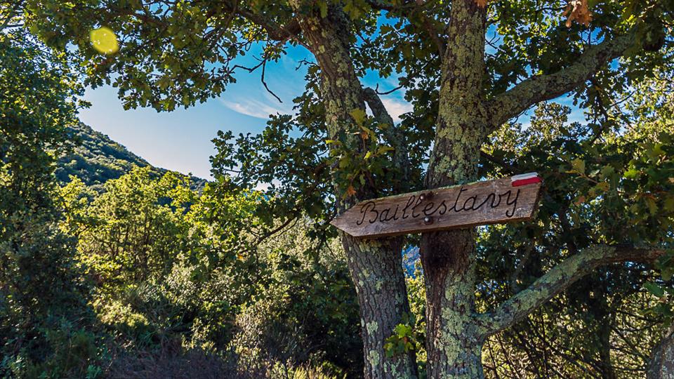 Rando accompagnee: De Baillestavy a valmanya par de beaux sentiers en foret