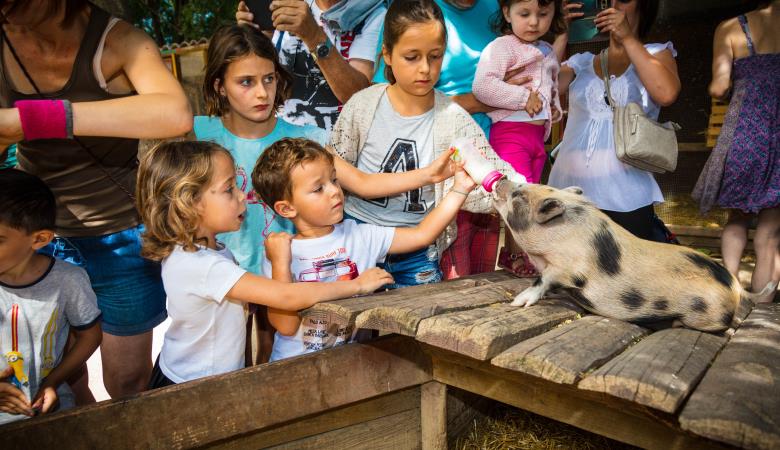ferme pedagogique Saint Andre - Saint Andre -
