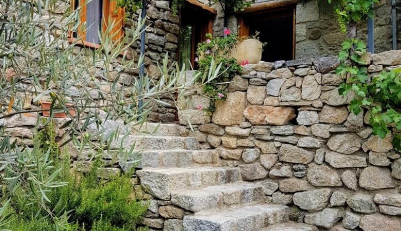 c80e11b6-75ff-4427-8853-4c8d5209e209~1