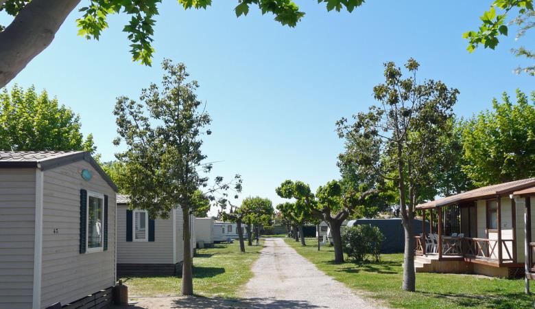 camping florida