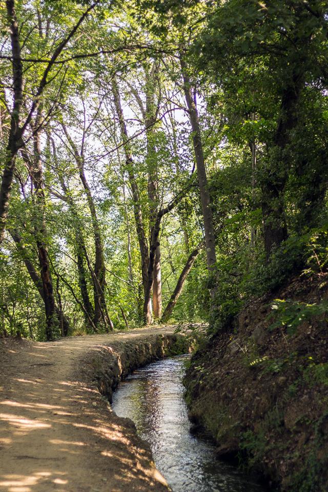 Rando accompagnee: Le canal de bohere et l’abbaye saint-michel de cuxa