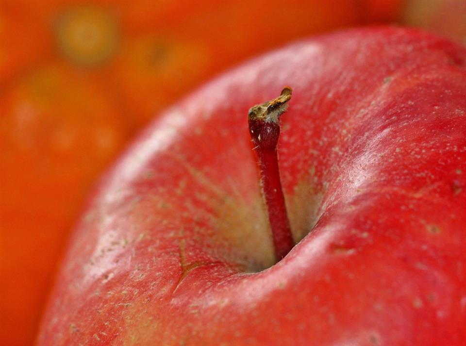 Fête de la pomme