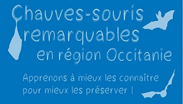 SORTIE NOCTURE LPO 66 PAYS CATALAN “OBSERVATION DES CHAUVES-SOURIS” AVEC CARLA