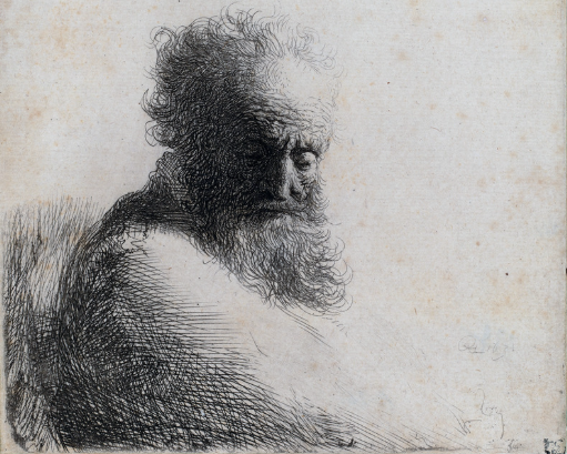 Exposition "l’héritage de darwin dans le cadre de la fête de la science"