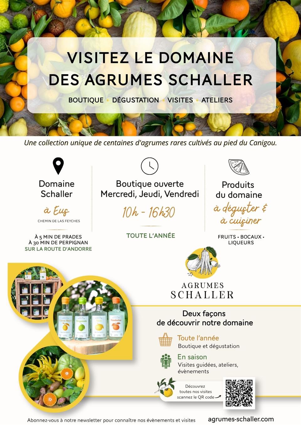 Visite les fruits d’agrumes rares