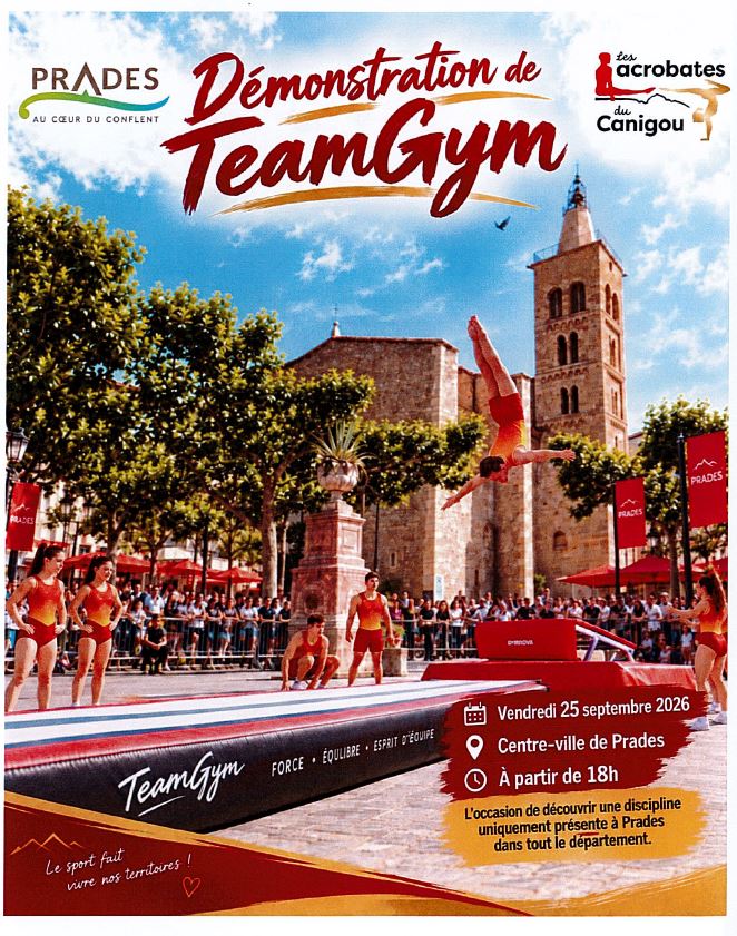 Demonstration de teamgym