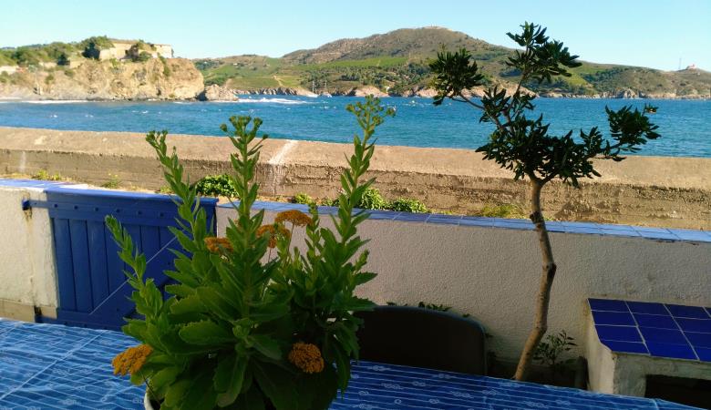 depuis la terrasse