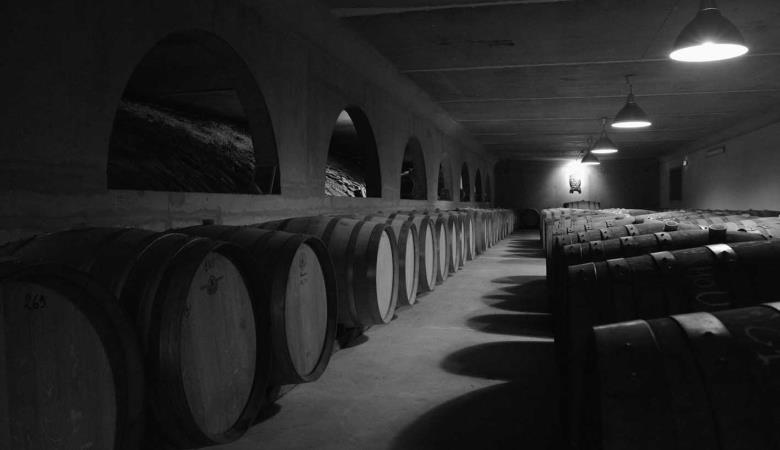 domaine_boucabeille-corneilla_la_riviere (13)