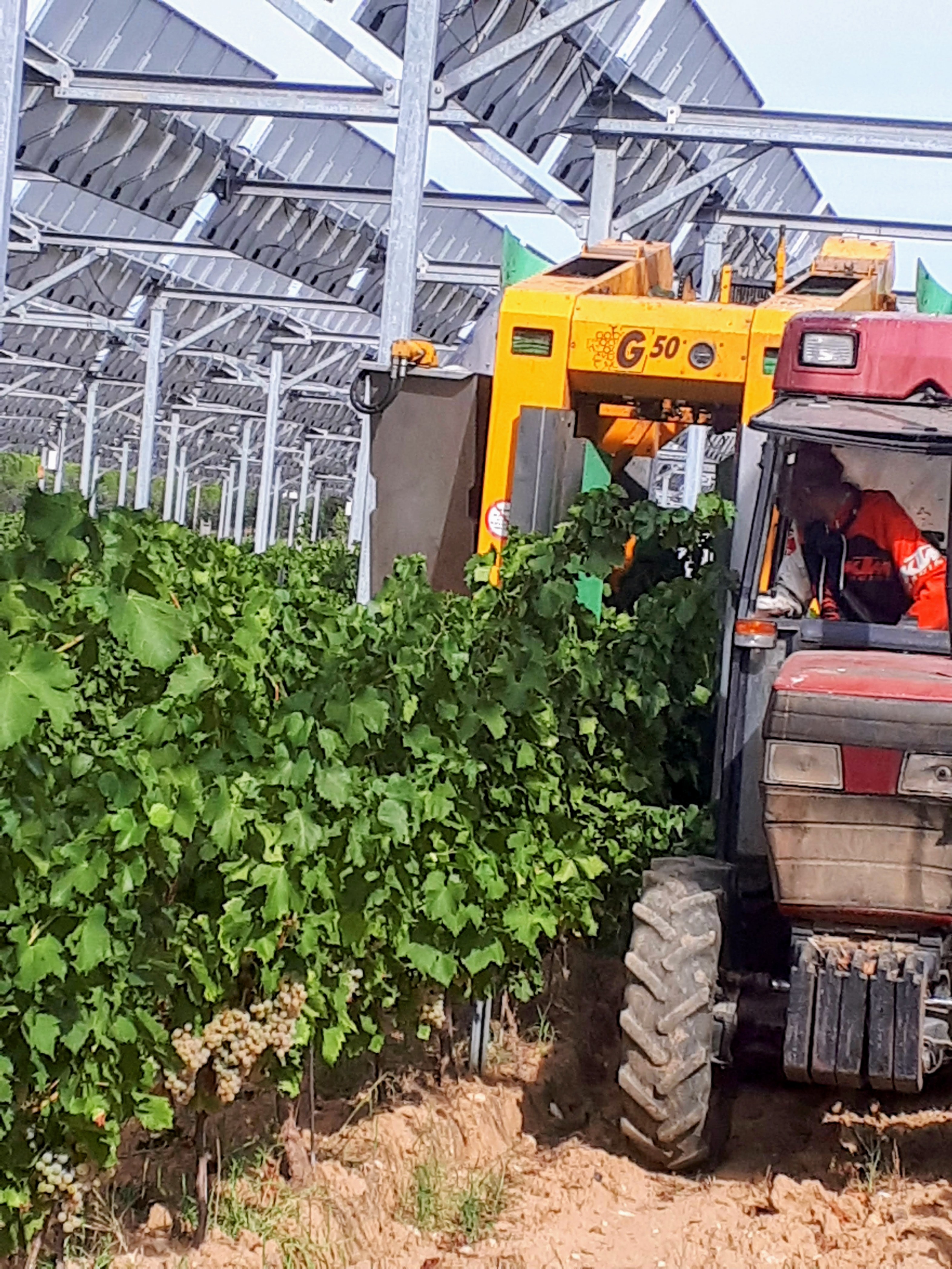 E8959822 f9f1 488f 95b1 ce8e358a6f2c 1