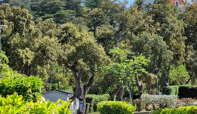 emplacement 5 emplacement 5