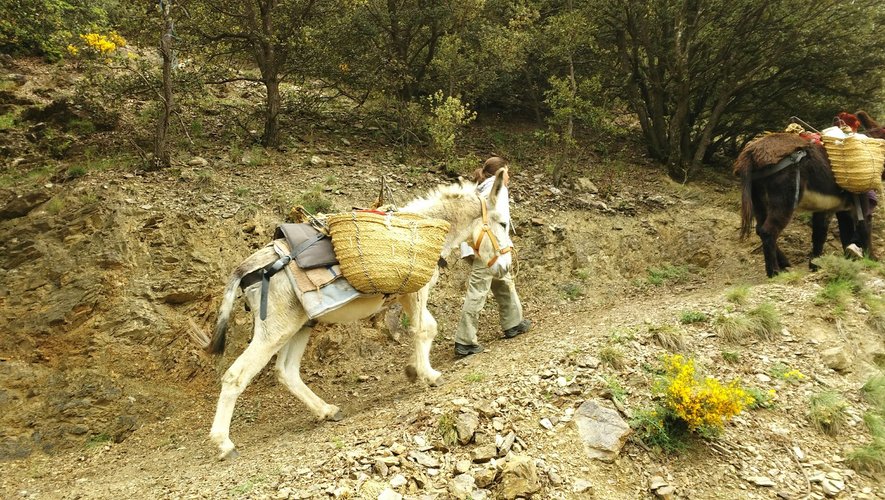 EQUI SERVICES CERDAGNE