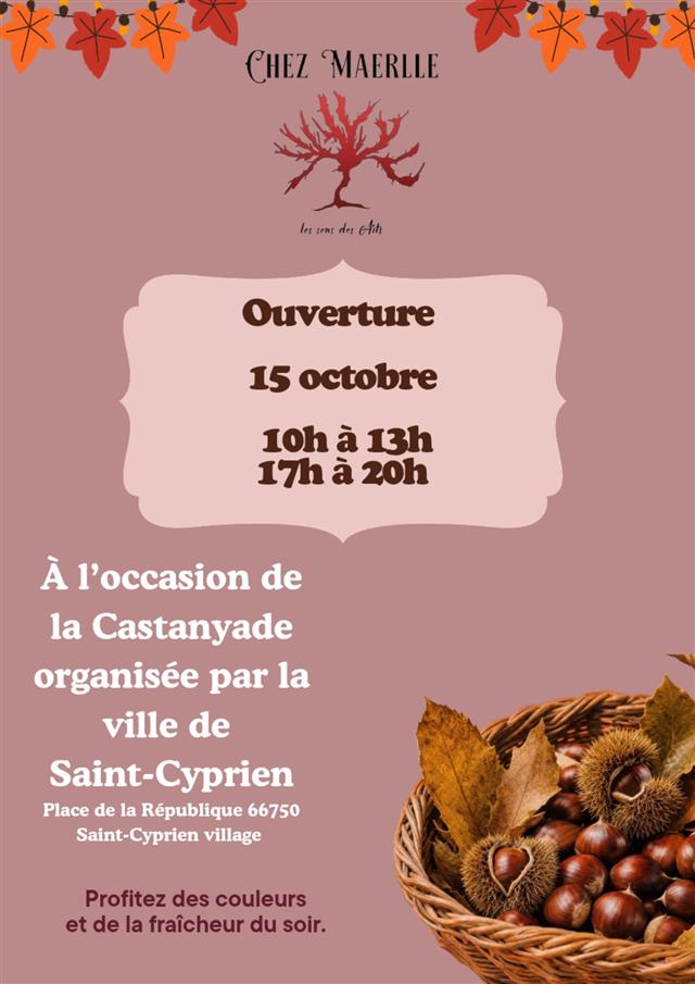 Ouverture chez maerlle