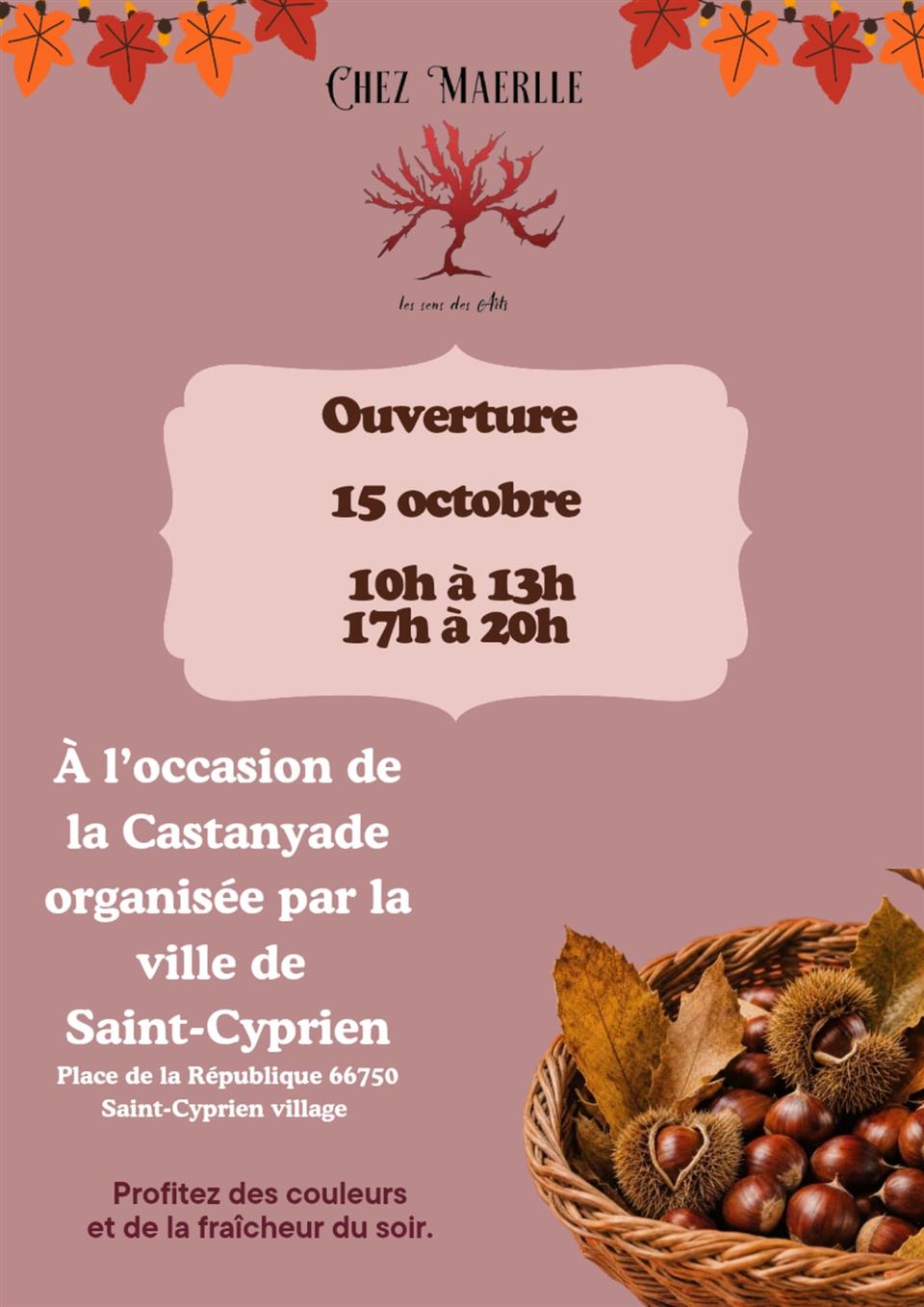 Ouverture chez maerlle