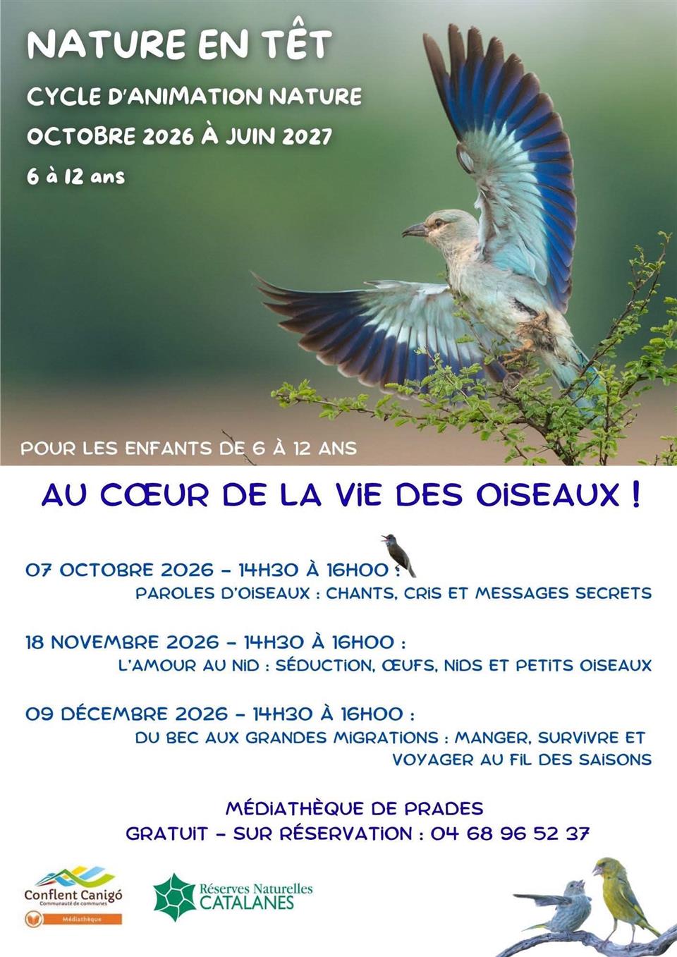 Nature en têt: Du bec aux grandes migrations, manger, survivre et voyager au fil des saisons