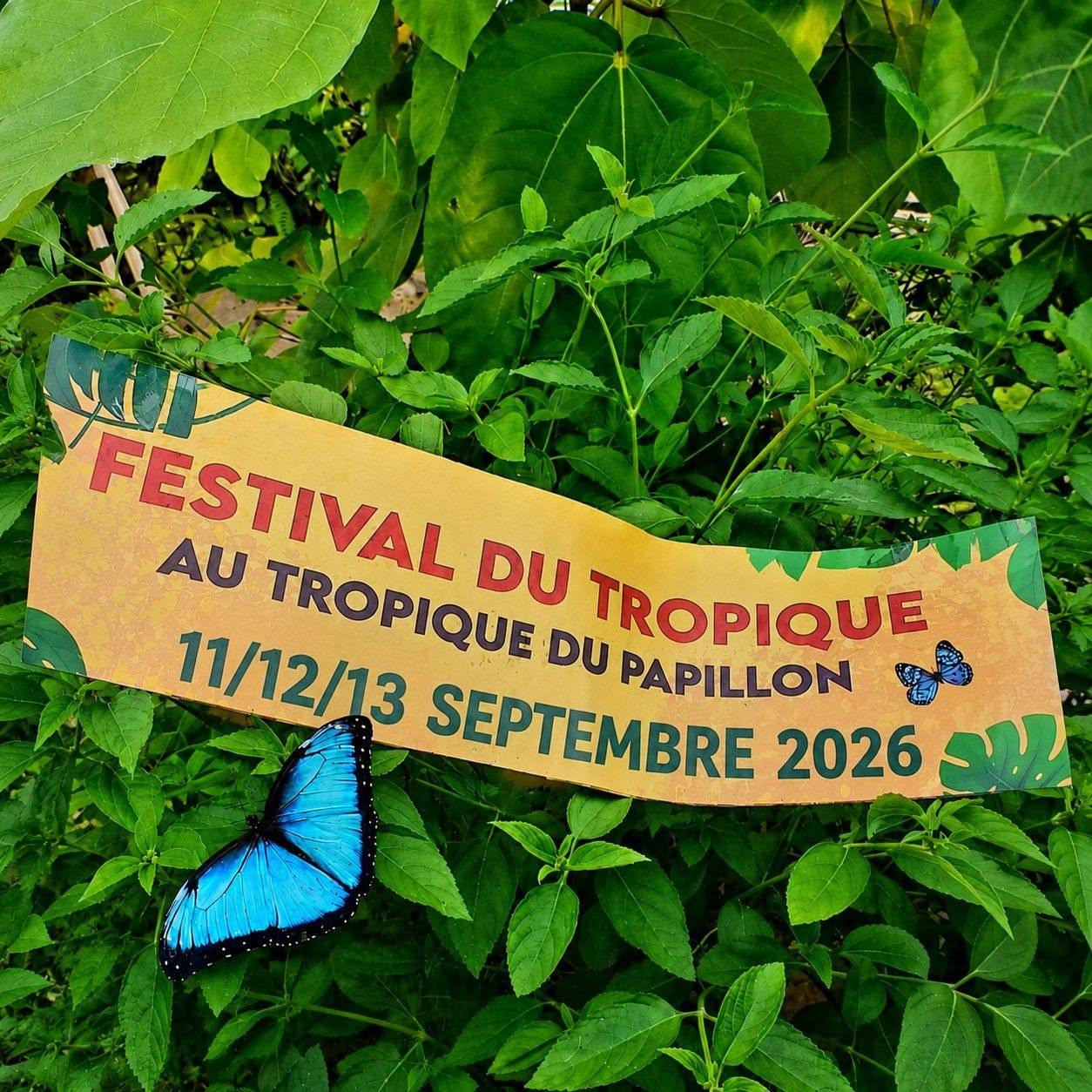 Festival du tropique
