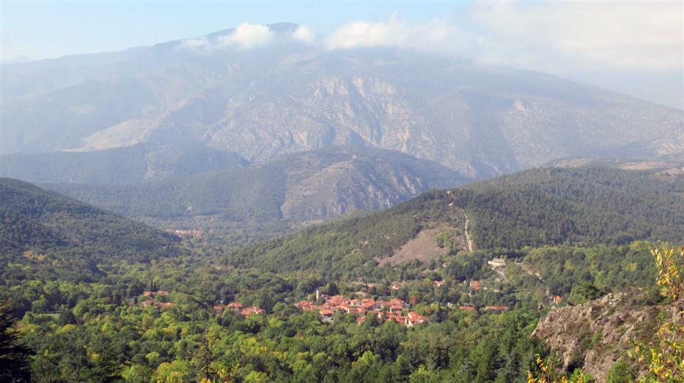 Rando accompagnee : Boucle forestiere vers le balcon du cogullo