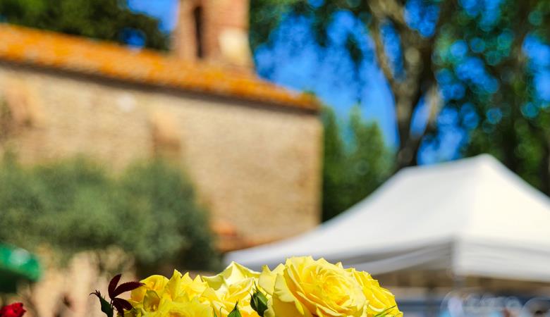 TORREILLES FMA VISUEL FLORALIES