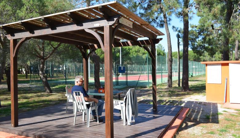 forest_pins_tennis_argeles_2015_3