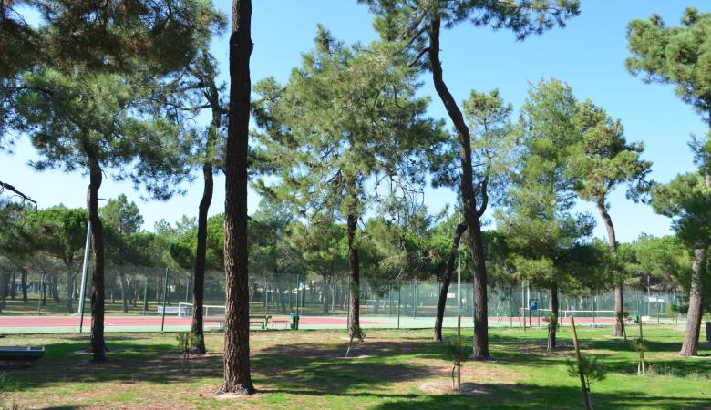 forest_pins_tennis_argeles_2015_6