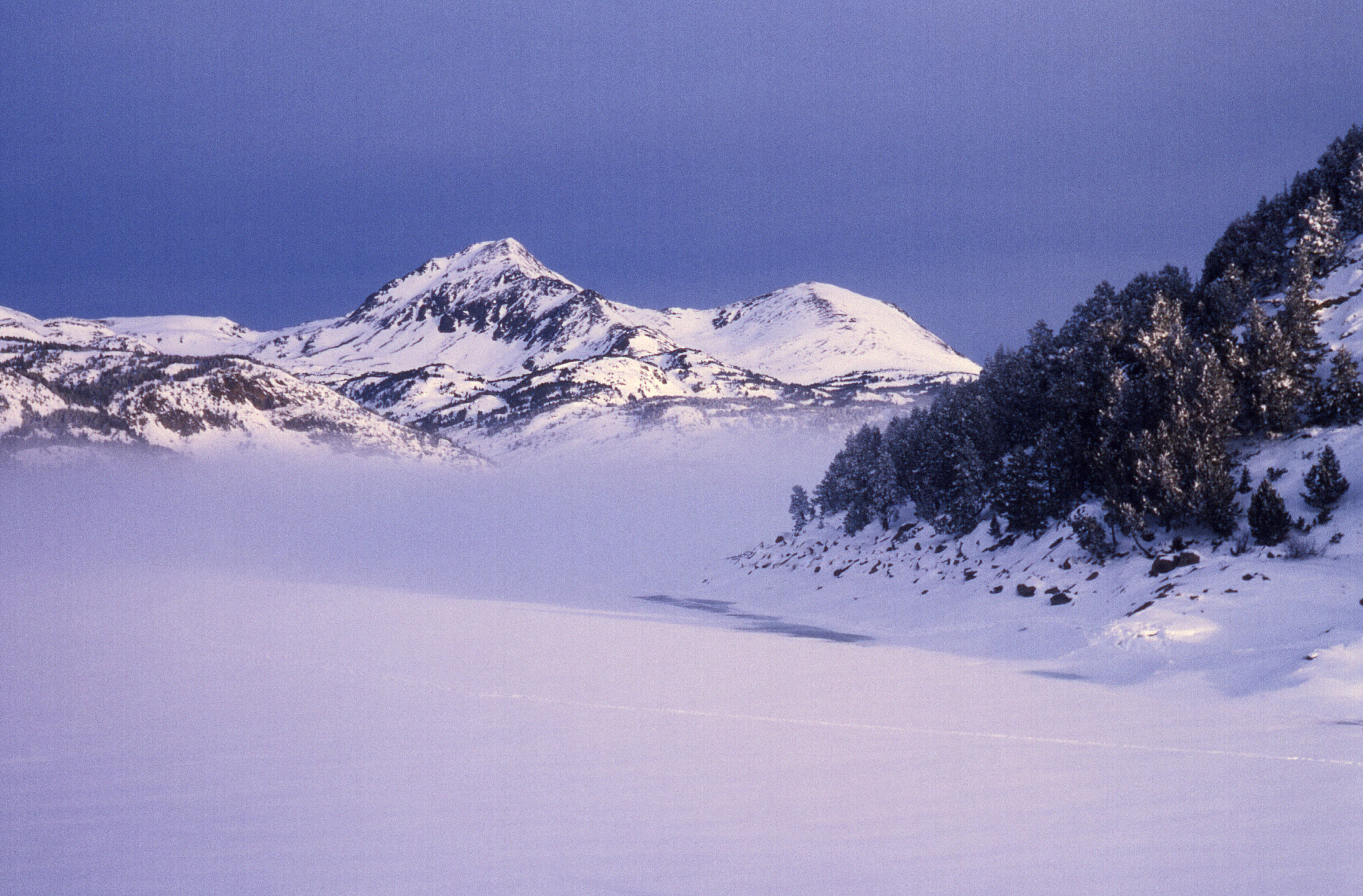 guilhem (2)-Bureau Montagne