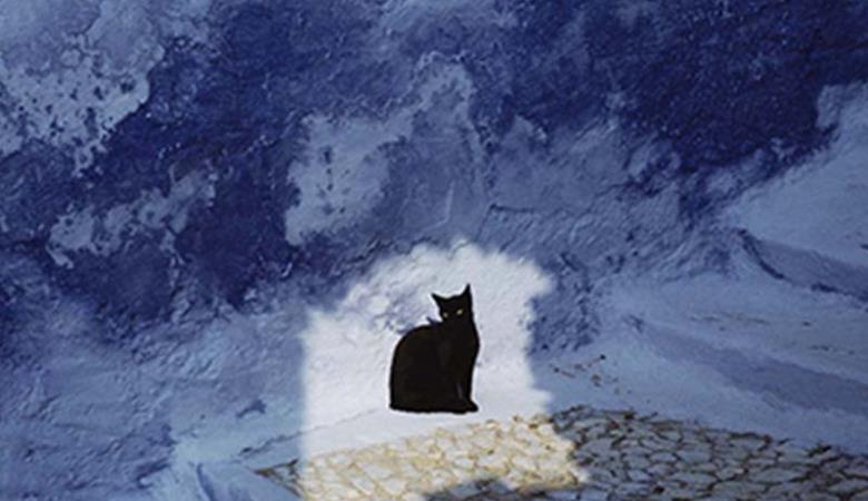 hans-silvester-chat-des-iles-01 (1)