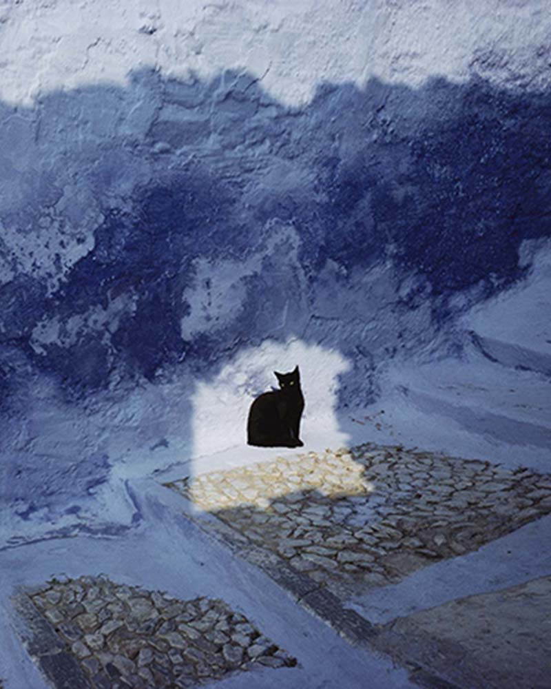 Exposition photos hans silvester