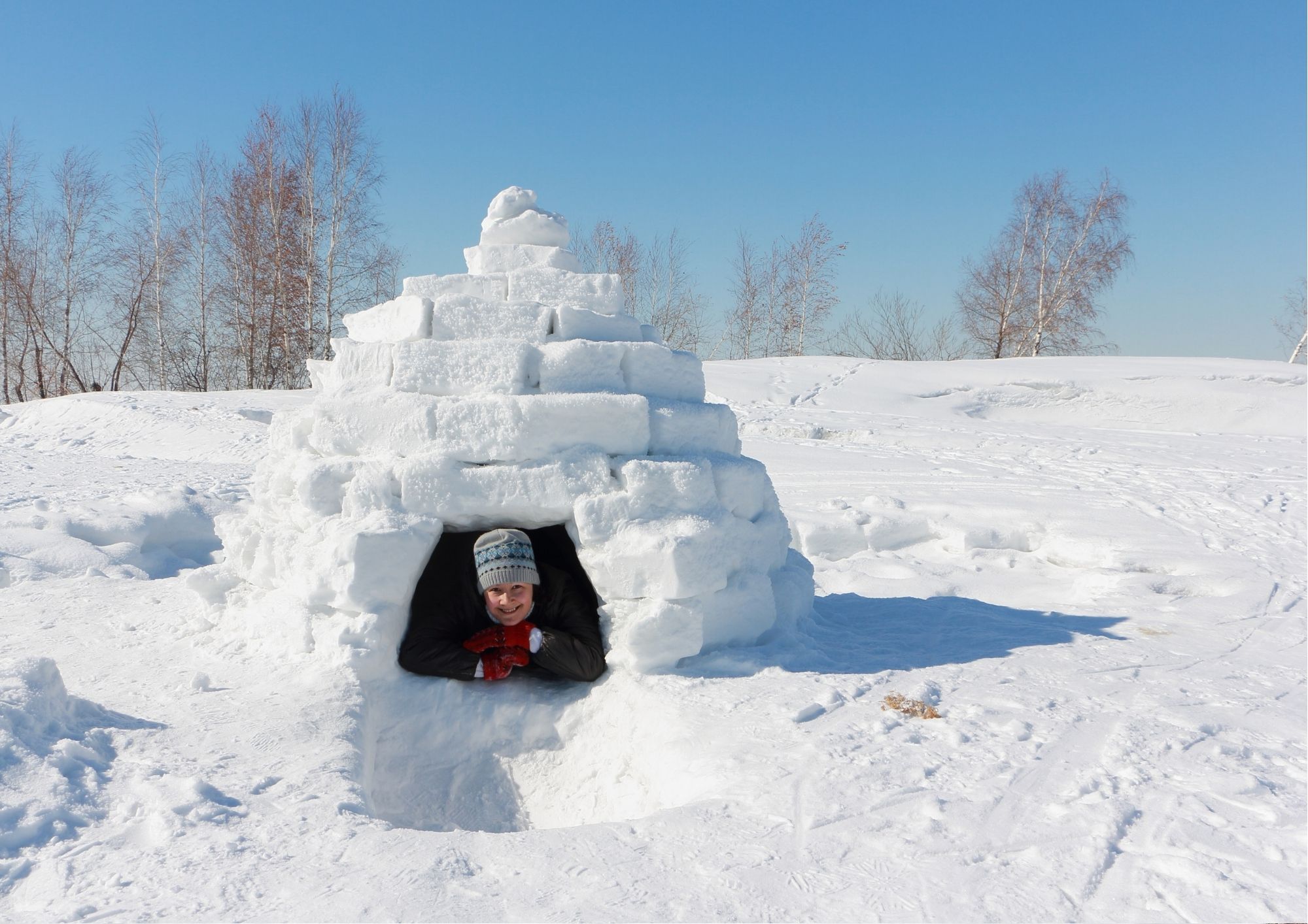 igloo  2 