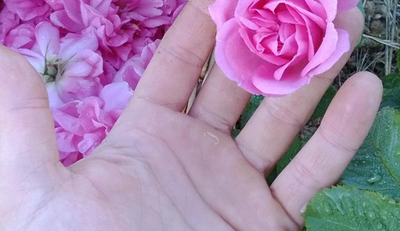 Floraluna
