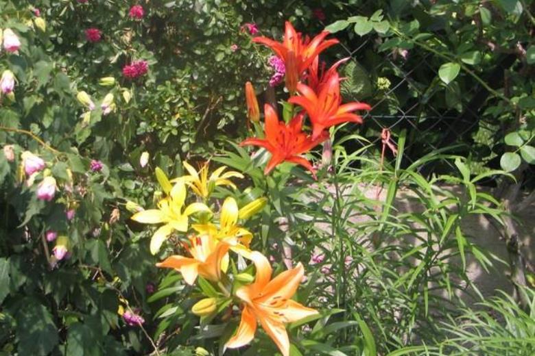 Photo_2_6