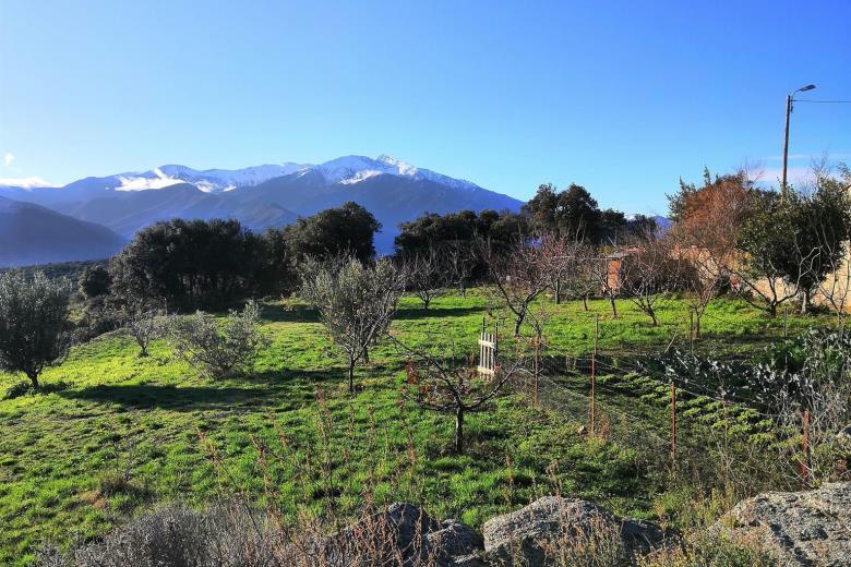 paysage autour du mas vue sur mont Canigou_14