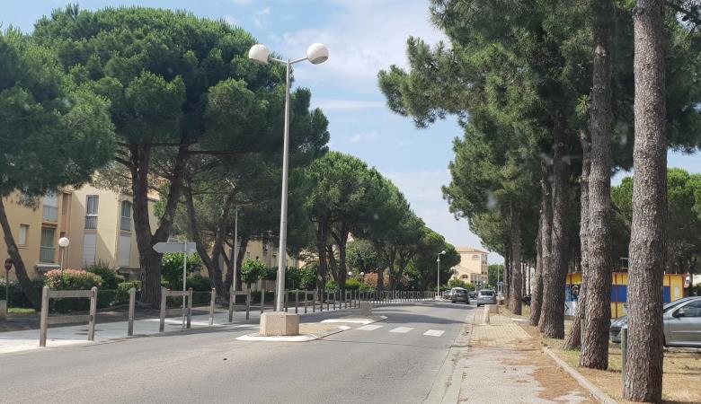 Avenue appart Argeles / Saint cyprien_19