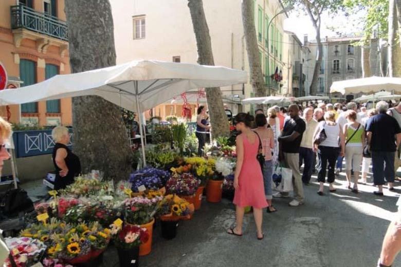 DSC05152 Ceret jour de marche_13