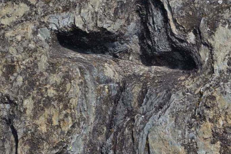 Croix gravées (néolithique) - chemin de Marsac_37