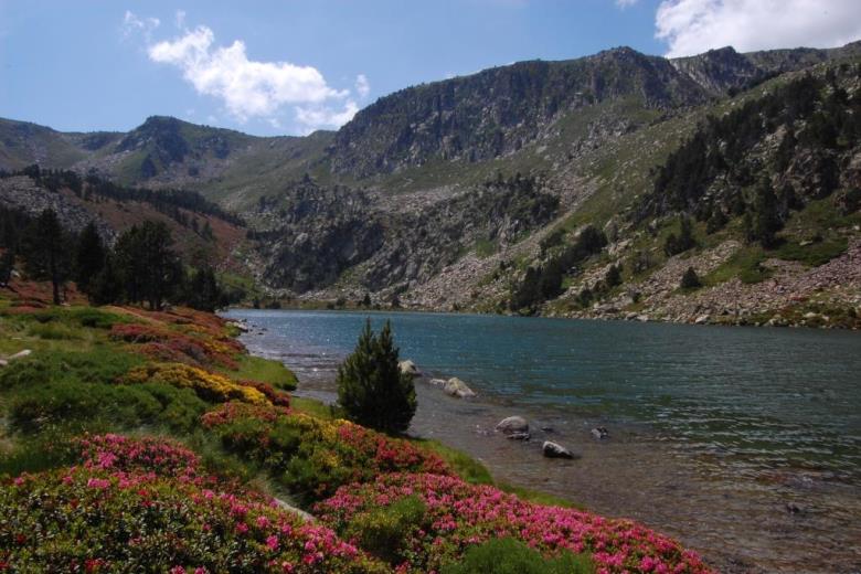 Gorg Estelat dans la Réserve de Nohèdes_35